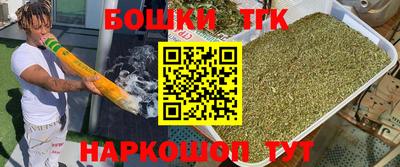 стафф Лесосибирск