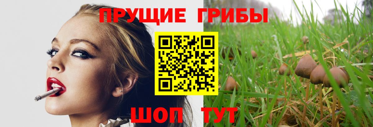 Галлюциногенные грибы GOLDEN TEACHER Алапаевск