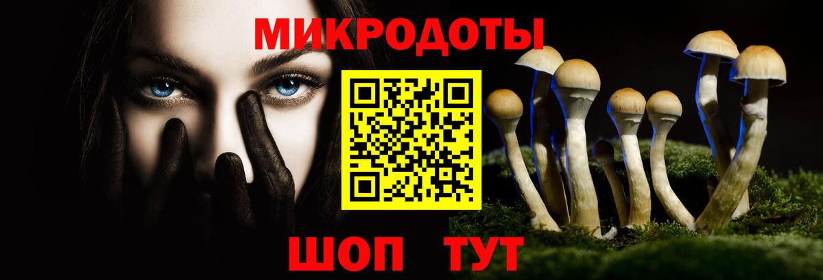 Алапаевск  Галлюциногенные грибы Psilocybe  Вход с VPN 